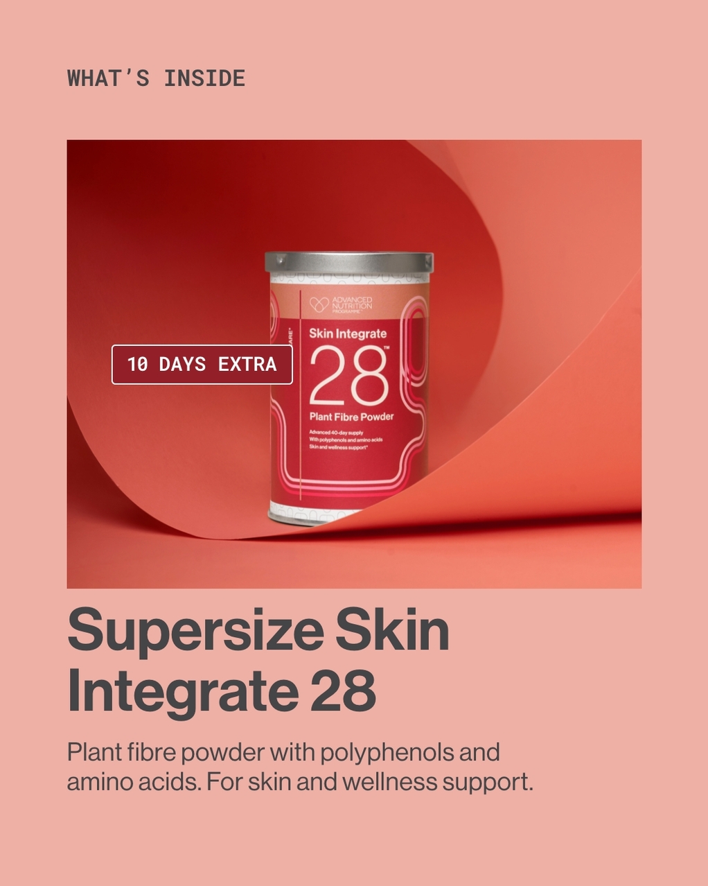 ANP - Skin Integrate 28 Supersize